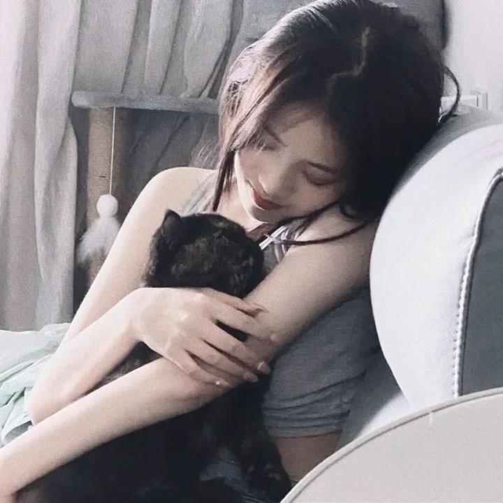 碧窗艳影